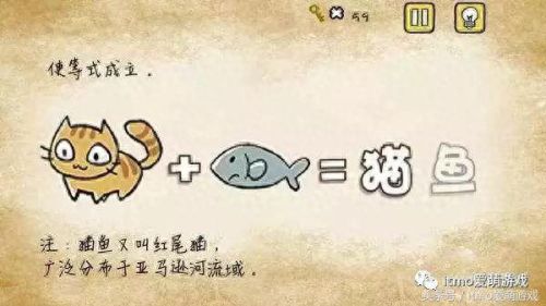 豪华游轮大纪行相性(豪华大游轮物语攻略)插图7