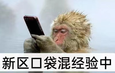 梦幻西游新区怎么弄礼包(梦幻西游新区怎么预约礼包)插图6