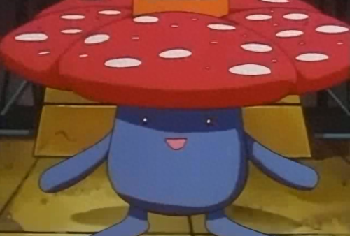 霸王花的技能是什么(霸王花是什么季节开花)插图1 霸王花的技能是什么(霸王花是什么季节开花)插图1