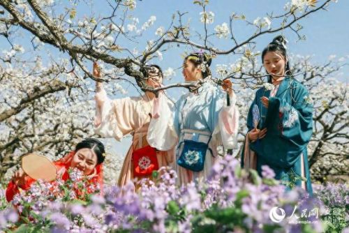 女儿村清歌妙舞技能(女儿村楚楚可怜技能)插图4