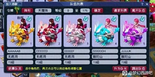 梦幻五开无底洞加技能(五开无底洞队长装备)插图