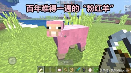 mc山羊(mc里山羊吃什么)插图