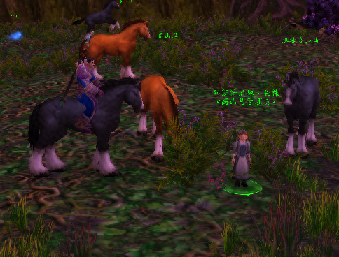 影踪派突袭营声望(影踪突袭营声望军需官)插图5