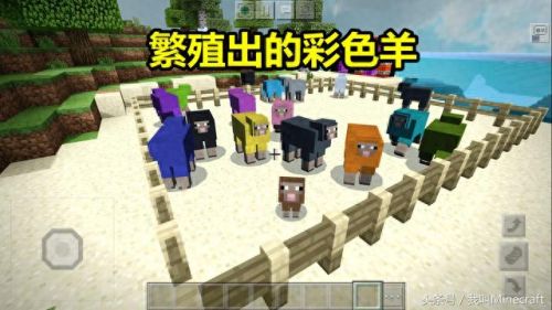 mc山羊(mc里山羊吃什么)插图2