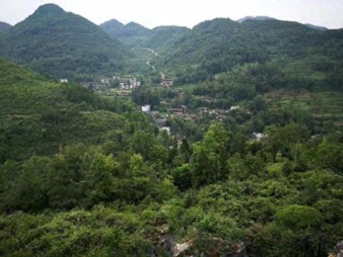 桃花源记卡59药师攻略(桃花源记怎么赚桃心)插图 桃花源记卡59药师攻略(桃花源记怎么赚桃心)插图