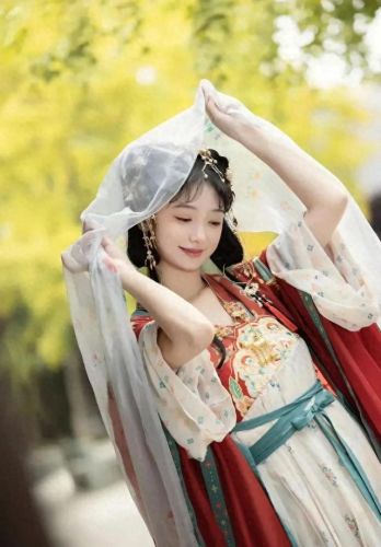 汉服齐胸襦裙啪啪(唐代齐胸襦裙复原)插图4