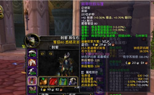 激战2 盗贼pve装备属性(激战2盗贼首饰属性加点)插图6