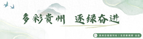 任务卡(任务卡怎么获得和平精英)插图