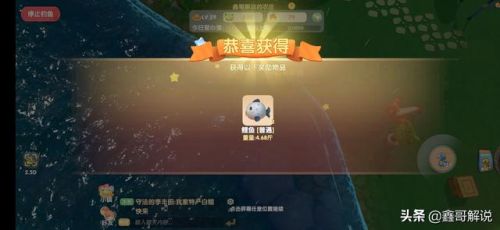 摩尔庄园龙虾怎么钓(摩尔庄园发言次数上限)插图9