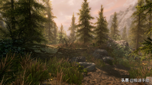 上古卷轴5乌木锭代码(上古卷轴5荆棘之心战士召唤代码)插图6