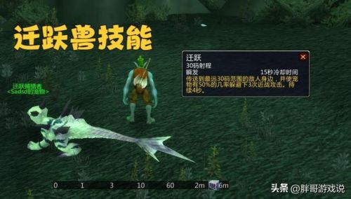 wlk猎人稀有宠物一览表(猎人稀有宝宝大全位置)插图4