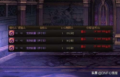 dnf宠物贝雷斯图片(稀有宠物毒龙蓝龙)