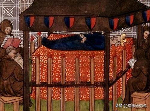 保护王国(有一群小伙伴们保护着蓝色的王国)插图12