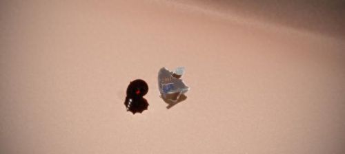 表演季先祖位置(光遇表演季先祖位置)插图1 表演季先祖位置(光遇表演季先祖位置)插图1