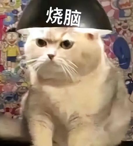 掌上wegame网页版(英雄联盟战绩查询网页版)插图1