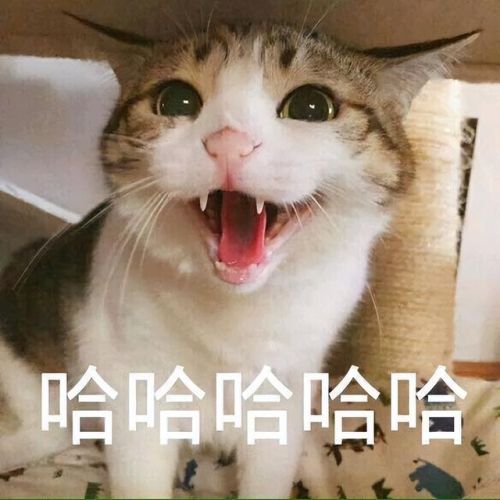不用充钱的游戏(十大公认的不氪金网游)插图4
