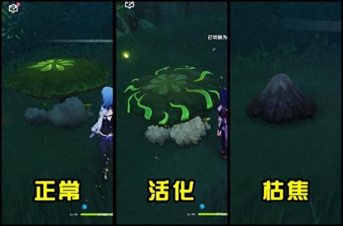 三相众物(原神三相众物在哪搞)插图2