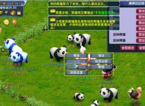 梦幻西游5开没修能刷副本(难民5开有必要刷迷宫么)插图1