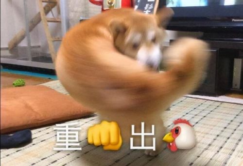 几年前一个单机忍者游戏(一个黑色忍者横版闯关的游戏)插图18