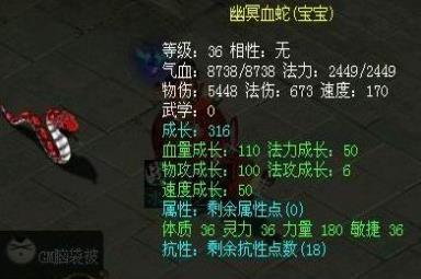 问道宝宝(问道宝宝怎么降级)插图 问道宝宝(问道宝宝怎么降级)插图