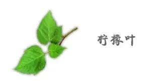妄想山海食谱配方大全(妄想山海鱼丸汤的配方是什么)插图8