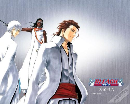 死神vs火影全人物(忍者VS火影全人物版)插图3 死神vs火影全人物(忍者VS火影全人物版)插图3