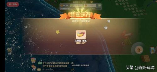 摩尔庄园龙虾怎么钓(摩尔庄园发言次数上限)插图7