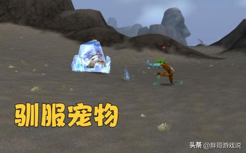 wlk猎人稀有宠物一览表(猎人稀有宝宝大全位置)插图