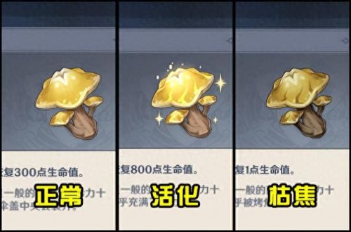 三相众物(原神三相众物在哪搞)插图1