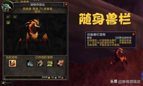 wlk猎人稀有宠物一览表(猎人稀有宝宝大全位置)插图1
