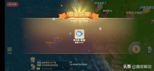 摩尔庄园龙虾怎么钓(摩尔庄园发言次数上限)插图29