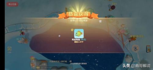 摩尔庄园龙虾怎么钓(摩尔庄园发言次数上限)插图15