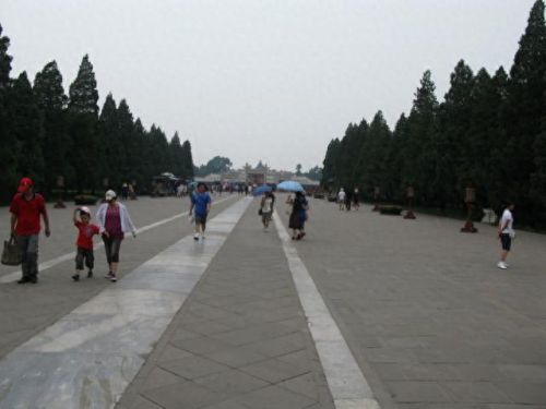 photoshop cs3中文版(photoshopcs3中文版免费)插图1