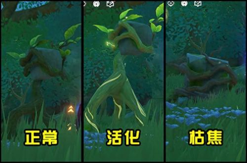 三相众物(原神三相众物在哪搞)插图5