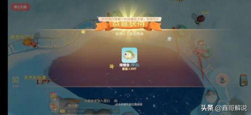 摩尔庄园龙虾怎么钓(摩尔庄园发言次数上限)插图16
