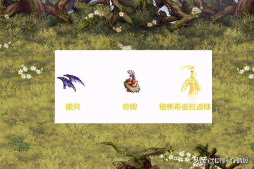 dnf宠物贝雷斯图片(稀有宠物毒龙蓝龙)插图4