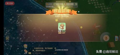 摩尔庄园龙虾怎么钓(摩尔庄园发言次数上限)插图6