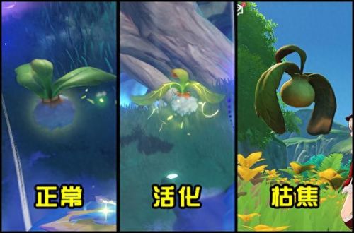 三相众物(原神三相众物在哪搞)插图4