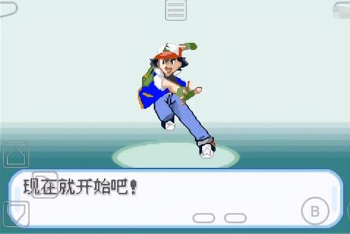 口袋妖怪魂银金手指(魂银按xy切换性格)插图12