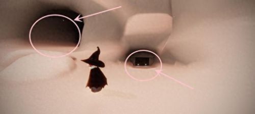 表演季先祖位置(光遇表演季先祖位置)插图3 表演季先祖位置(光遇表演季先祖位置)插图3