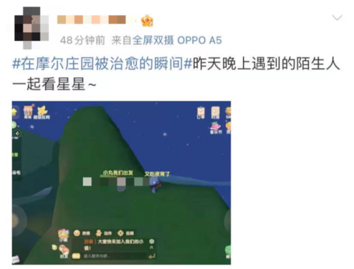 奇异毛毛豆什么火(花花毛毛和泡泡)插图8