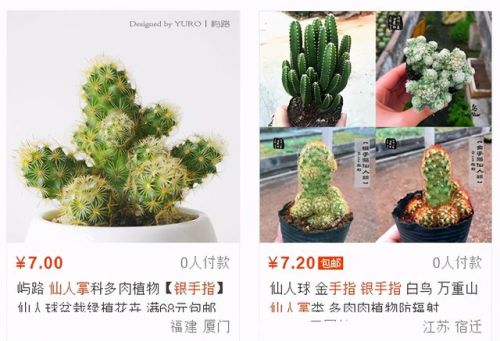 金手指大全(金手指排行榜前十名)插图4