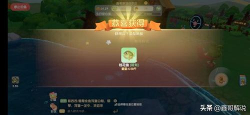 摩尔庄园小镇钓鱼(聚龙小镇可以免费钓鱼吗)插图