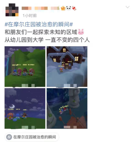奇异毛毛豆什么火(花花毛毛和泡泡)插图4