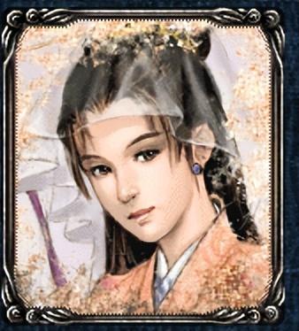 三国立志传2攻略详细(三国立志传2秘籍代码)插图3