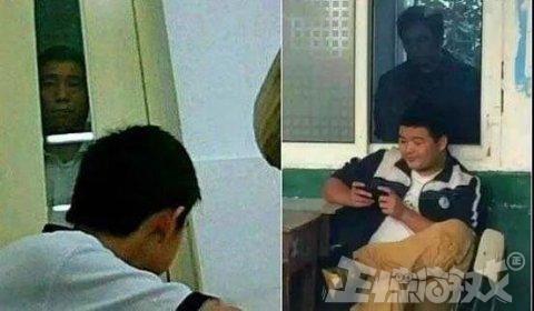 植物大战僵尸内购版(全解锁植物5阶0阳光无冷却最新版)插图1