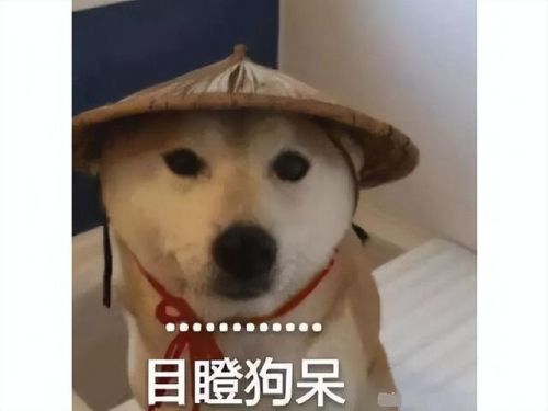 冒险岛手游台服(冒险岛怀旧版079)插图3