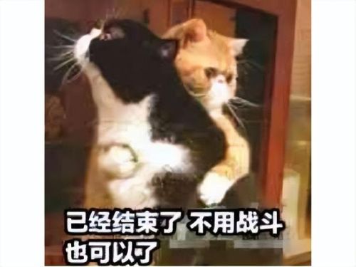 仙剑单机游戏(单机版仙剑3能在手机玩吗)插图1