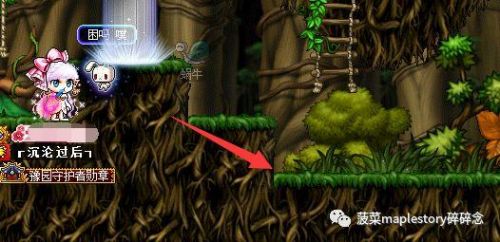 冒险岛精灵之王双弩精灵任务(双弩精灵尚未结束的战斗)插图12 冒险岛精灵之王双弩精灵任务(双弩精灵尚未结束的战斗)插图12