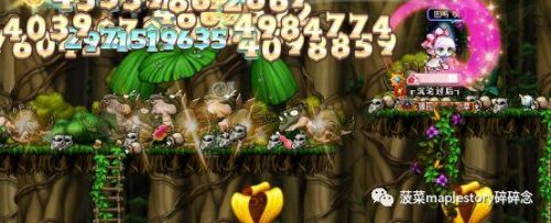 冒险岛精灵之王双弩精灵任务(双弩精灵尚未结束的战斗)插图5 冒险岛精灵之王双弩精灵任务(双弩精灵尚未结束的战斗)插图5